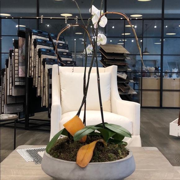 Meet your Posher, Alycia - Picture 1 of 1